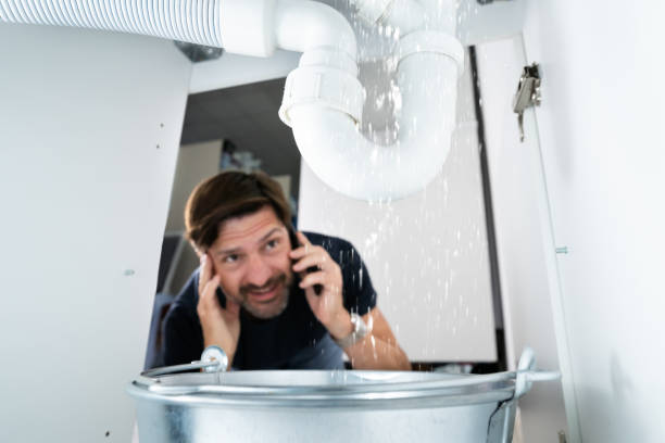 Best Affordable Plumber Near Me  in Germantown Hls, IL