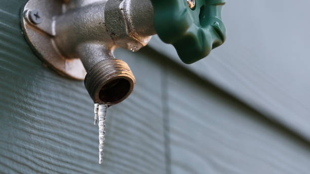 Best Commercial Plumbing Services  in Germantown Hls, IL