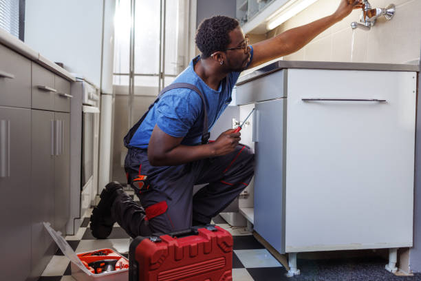 Best Emergency Plumber  in Germantown Hls, IL